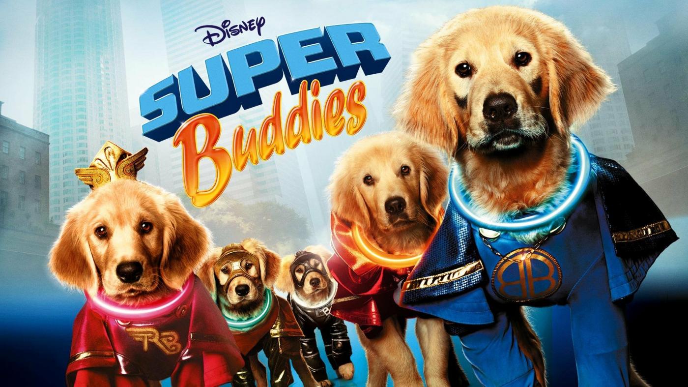 Sociologi labyrint Bemærk 9 Beste Disney -Hundefilme, die man gerade ansehen kann